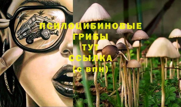 гидра Медногорск