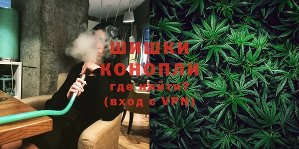 гидра Медногорск