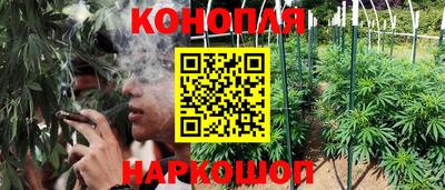 молекула духа Гатчина
