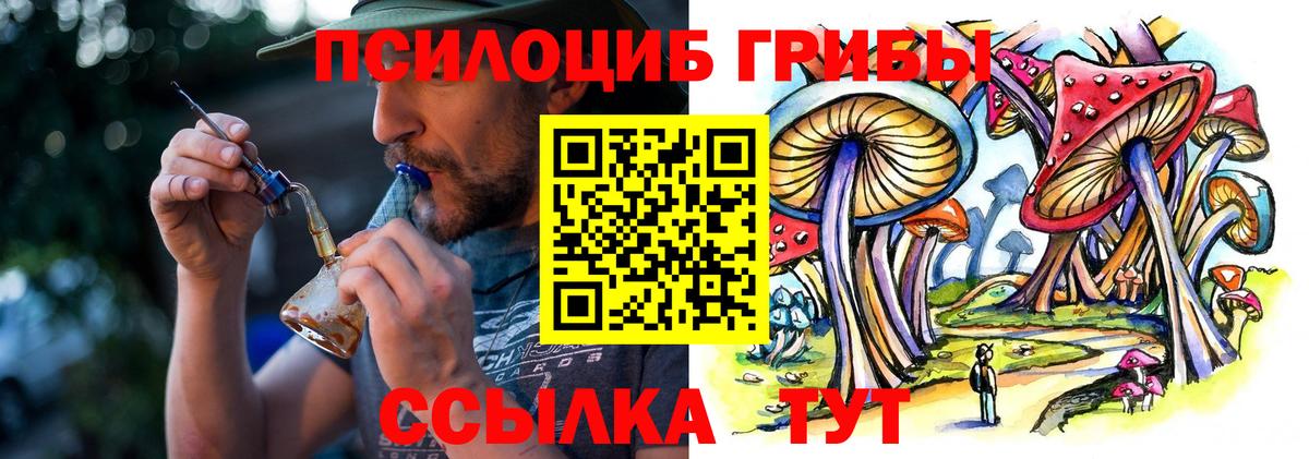 Псилоцибиновые грибы GOLDEN TEACHER  Вход с VPN  Нижнекамск 